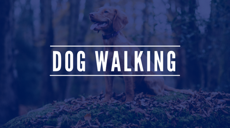 Newman's Dog Training Dog Walking Puppy Walking Graphic